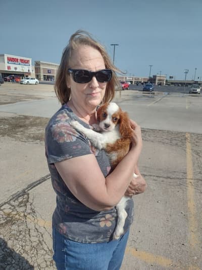 Maddox, a Cavalier King Charles Spaniel puppy from Pawrade