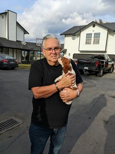Alex, a Cavalier King Charles Spaniel puppy from Pawrade