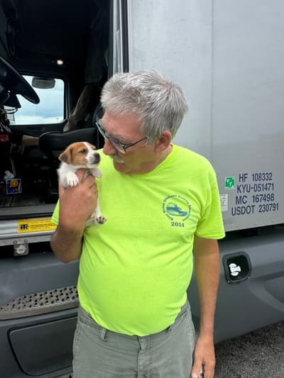 Sebastian, a Jack Russell Terrier puppy from Pawrade