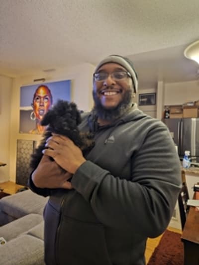 Donald, a Poodle, Toy puppy from Pawrade
