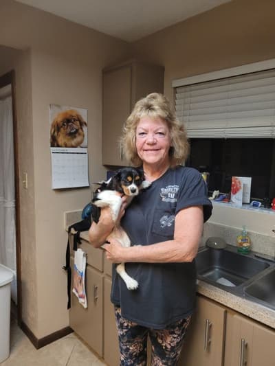 Clark, a Cavalier King Charles Spaniel puppy from Pawrade