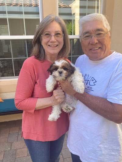 Macintosh, a Shih Tzu puppy from Pawrade