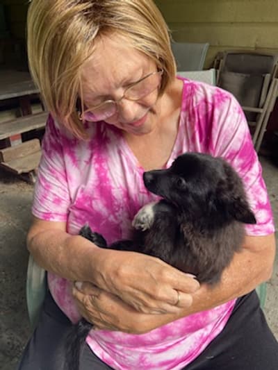 Mr Ranin, a Pomeranian puppy from Pawrade
