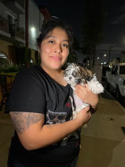 Franny, a Shih Tzu puppy from Pawrade