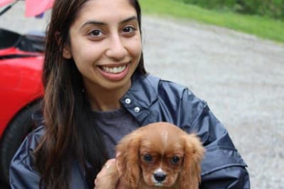 Lincoln, a Cavalier King Charles Spaniel puppy from Pawrade