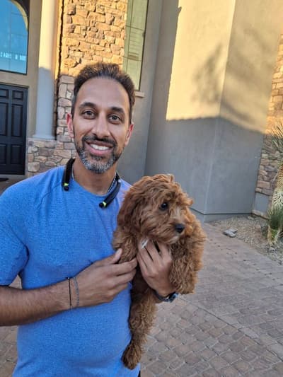 Celeste, a Cavapoo puppy from Pawrade