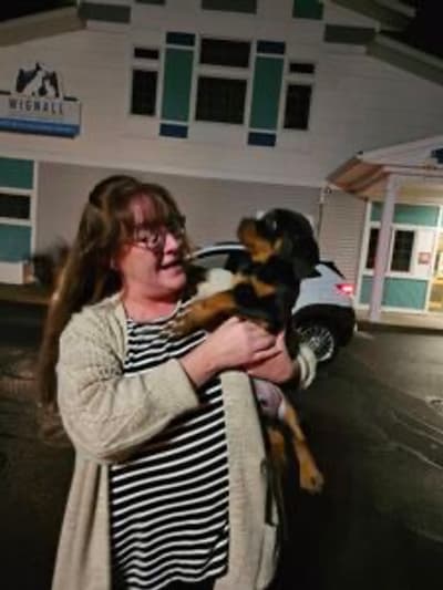 Bari, a Rottweiler puppy from Pawrade