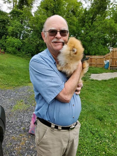 Justice, a Pomeranian puppy from Pawrade