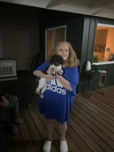 Dolan, a Shih-Poo - Shihpoo puppy from Pawrade