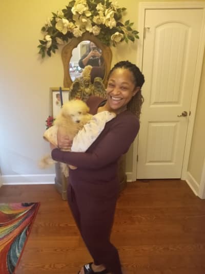 Nolin, a Malti Poo - Maltipoo puppy from Pawrade