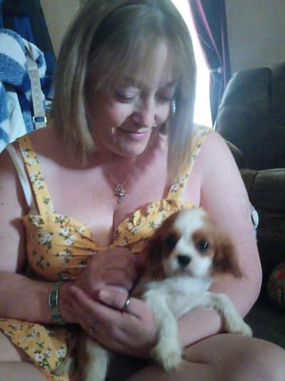 Destiny, a Cavalier King Charles Spaniel puppy from Pawrade