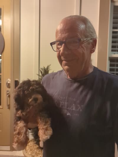 Rose, a Bernedoodle, Mini puppy from Pawrade