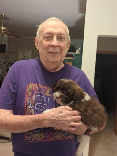 Donovan, a Havanese puppy from Pawrade