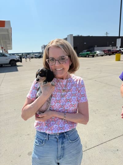 Ally, a Dachshund, Mini puppy from Pawrade