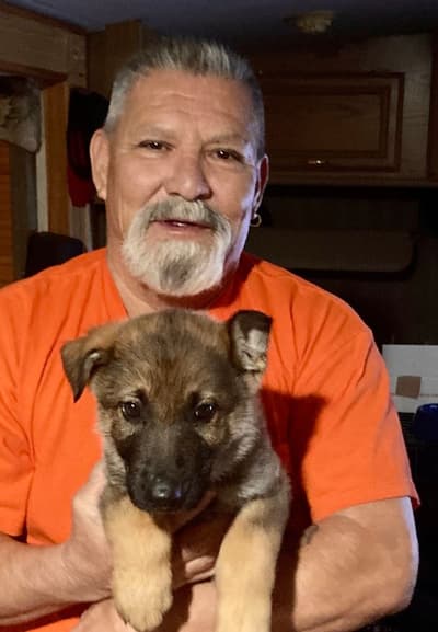 Milan, a German Shepherd puppy from Pawrade