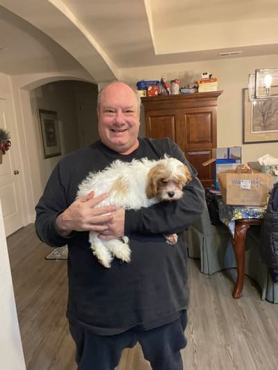 Pebble, a Cavapoo puppy from Pawrade