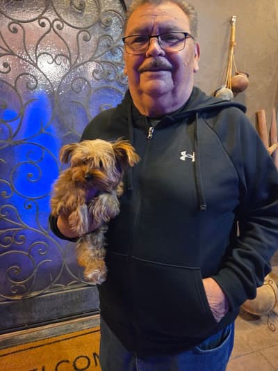 Iris, a Yorkshire Terrier - Yorkie puppy from Pawrade
