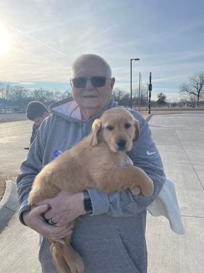 Fairfax, a Golden Retriever puppy from Pawrade