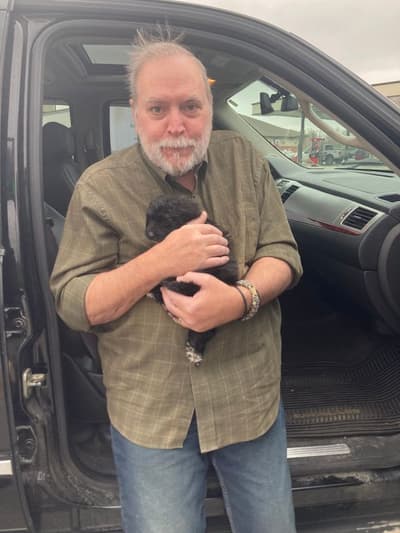Lilly Ann, a Yorkiepoo - Yorkie Poo puppy from Pawrade