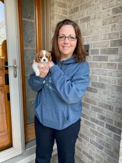 Lucille, a Cavalier King Charles Spaniel puppy from Pawrade