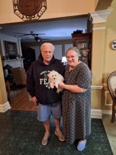 Dazzle, a Coton De Tulear puppy from Pawrade