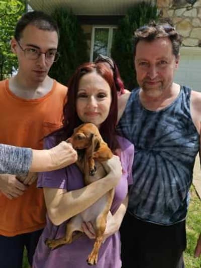 Sherbert, a Dachshund, Tweenie puppy from Pawrade