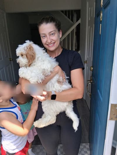 Tanya, a Goldendoodle puppy from Pawrade