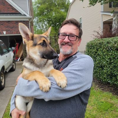 Shine, a German Shepherd puppy from Pawrade
