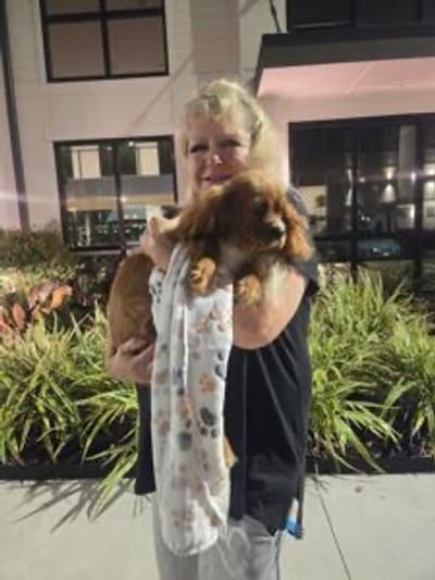 Chesapeake, a Cavalier King Charles Spaniel puppy from Pawrade