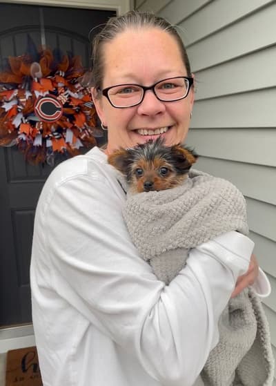 Sydney, a Yorkshire Terrier - Yorkie puppy from Pawrade