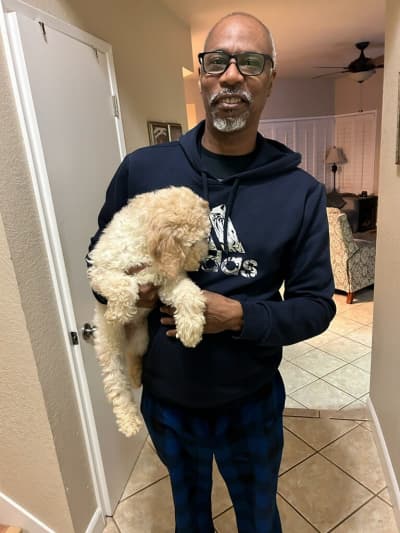 Splash, a Goldendoodle puppy from Pawrade