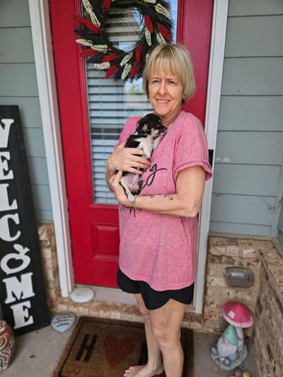 Mercy, a Chihuahua puppy from Pawrade