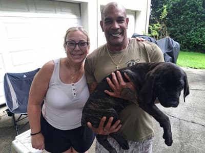John, a Cane Corso Mastiff puppy from Pawrade