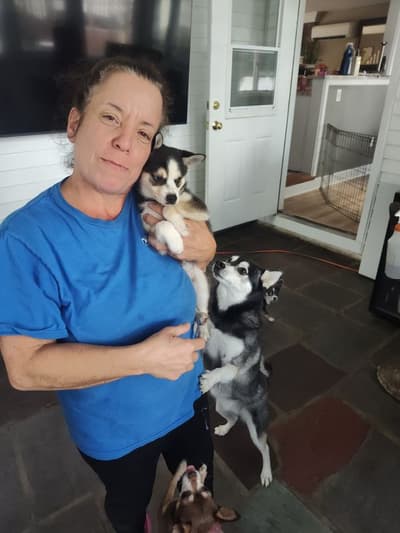 Galilee, a Alaskan Klee Kai puppy from Pawrade