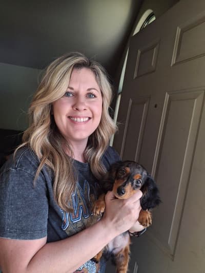 Serena, a Dachshund, Mini puppy from Pawrade