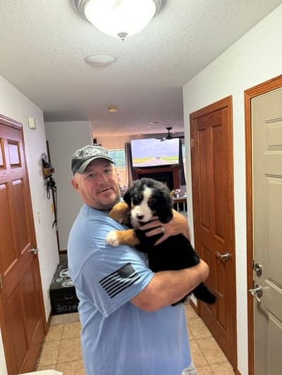 Daisy, a Bernese Mountain Dog puppy from Pawrade
