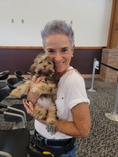 Ivy, a Havanese puppy from Pawrade