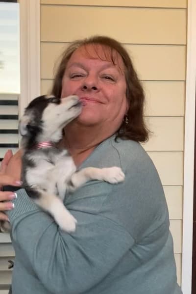 Kiara, a Alaskan Klee Kai puppy from Pawrade