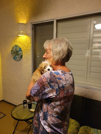Charleigh, a Aussiedoodle puppy from Pawrade