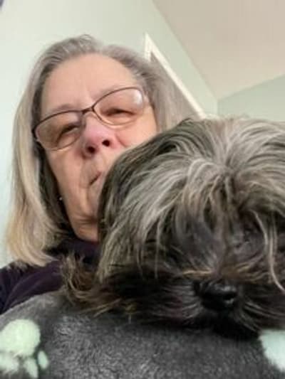Mav, a Morkie / Yorktese puppy from Pawrade