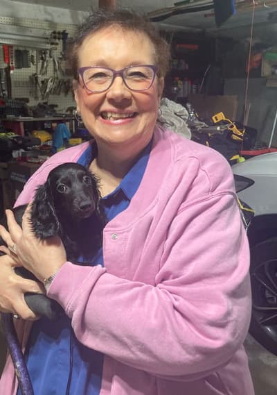 Allie, a Dachshund, Mini puppy from Pawrade