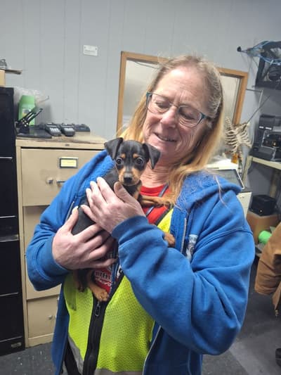 Madison, a Miniature Pinscher puppy from Pawrade