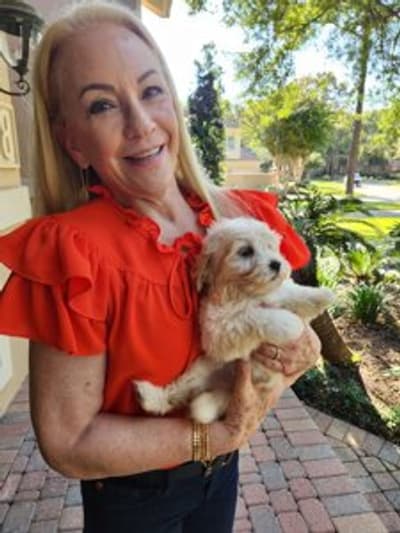 Juliette, a Havapoo puppy from Pawrade