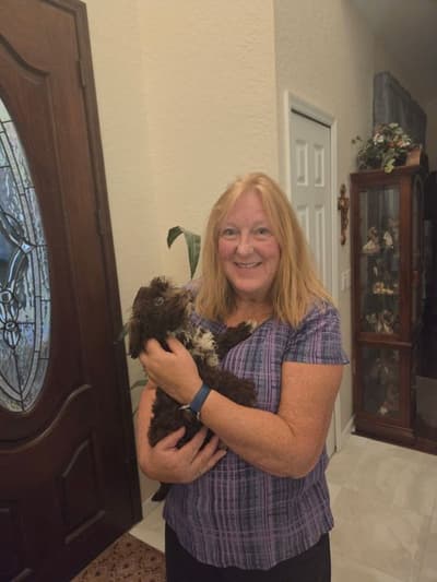Jesper, a Havanese puppy from Pawrade