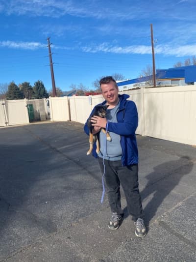 Declan, a Shiba Inu puppy from Pawrade