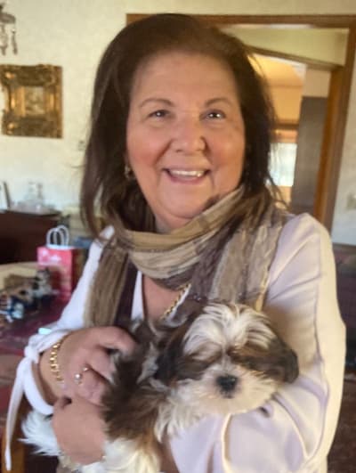 Gianni, a Shih Tzu puppy from Pawrade