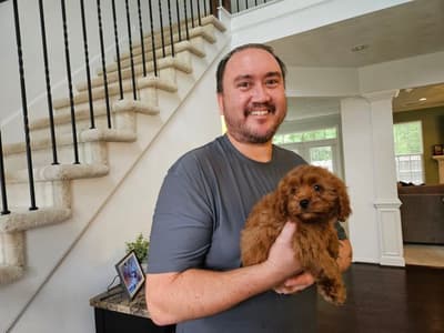 Pirate, a Cavapoo puppy from Pawrade