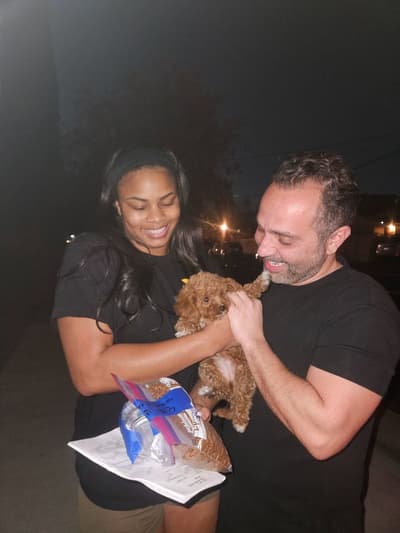 Esme, a Cavapoo puppy from Pawrade