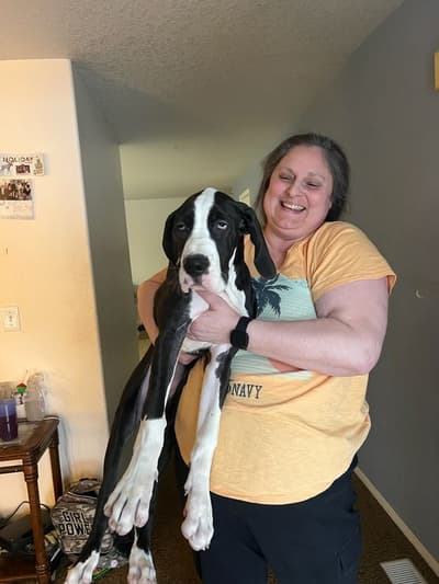 Birdie, a Great Dane puppy from Pawrade