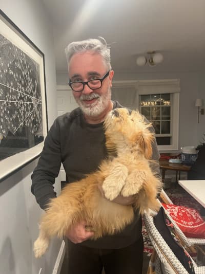 Rodrigo, a Soft Coated Wheaten Terrier puppy from Pawrade